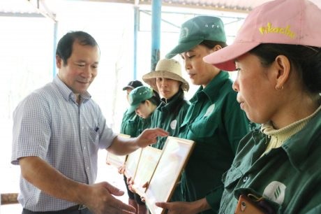 Thi đua vượt khó ở Cao su Bình Thuận  